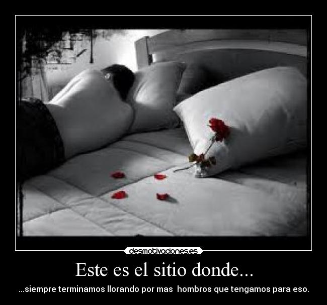 Este es el sitio donde... - 