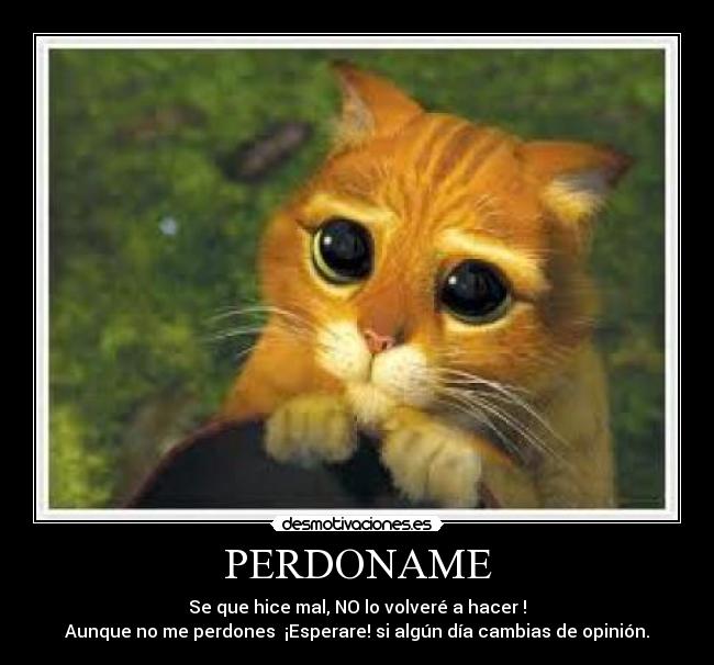 carteles perdon perdoname desmotivaciones
