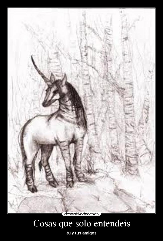 Cosas que solo entendeis - 