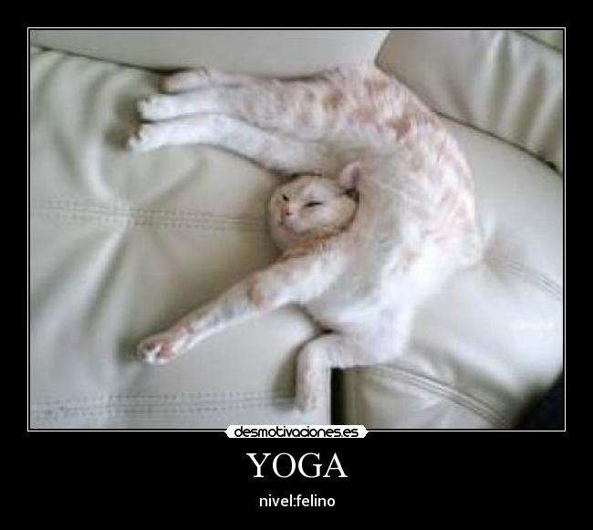 YOGA -