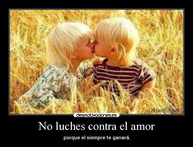 No luches contra el amor -