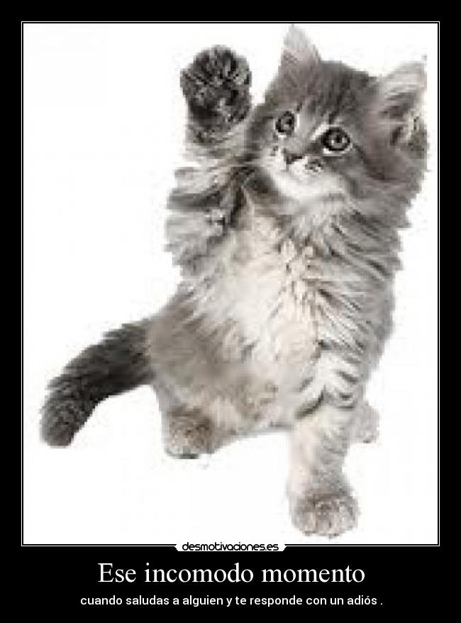 Ese incomodo momento -