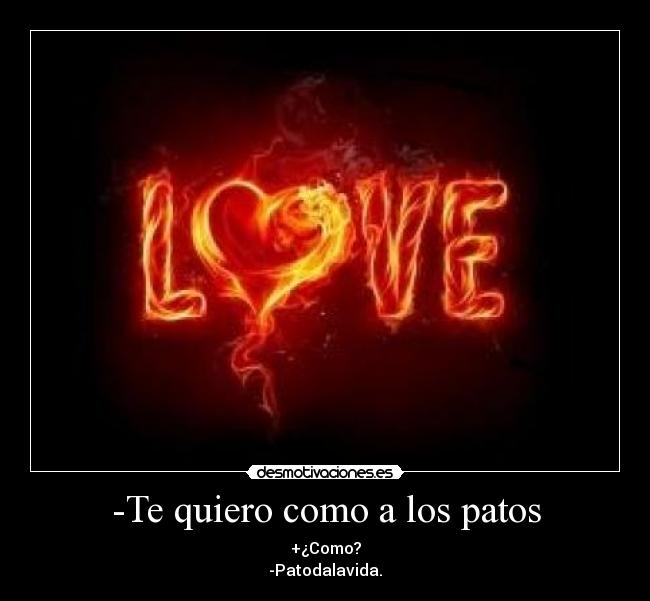 -Te quiero como a los patos - +¿Como?
-Patodalavida.