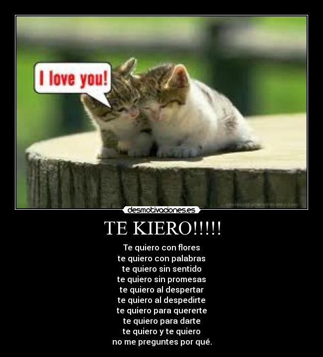 TE KIERO!!!!! - Te quiero con flores
te quiero con palabras
te quiero sin sentido
te quiero sin promesas
te quiero al despertar
te quiero al despedirte
te quiero para quererte
te quiero para darte
te quiero y te quiero
no me preguntes por qué.