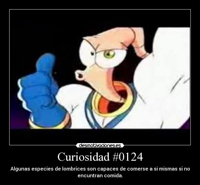 Curiosidad #0124 -