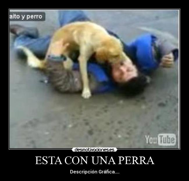 ESTA CON UNA PERRA - 