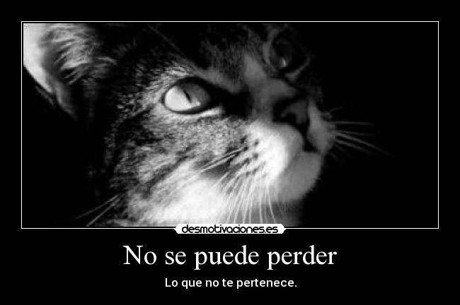 carteles por siempresonrie12 desmotivaciones