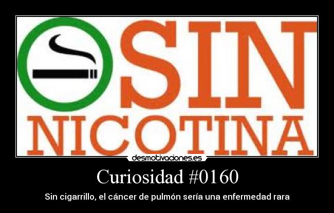 Curiosidad #0160 -