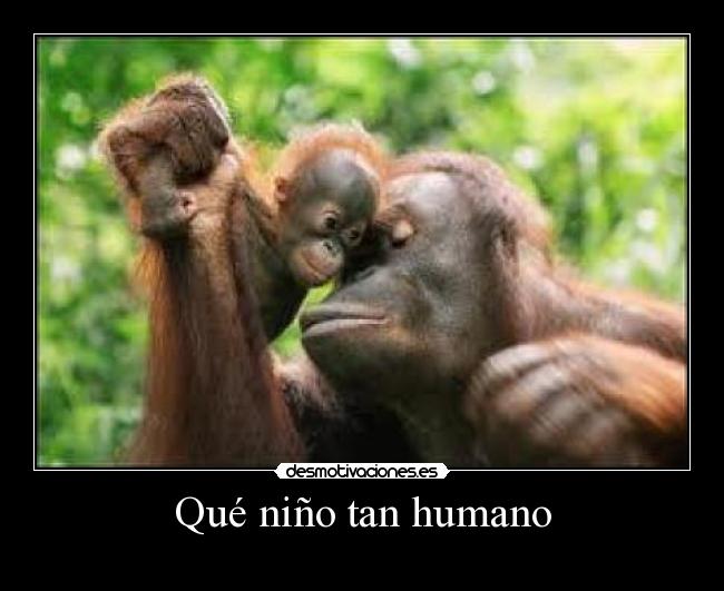Qué niño tan humano -
