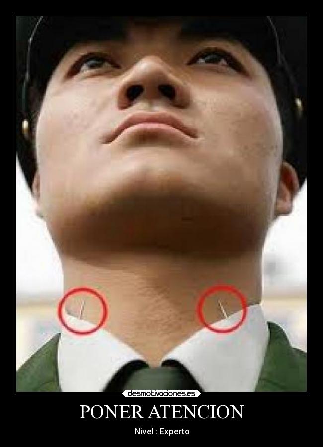 PONER ATENCION - Nivel : Experto