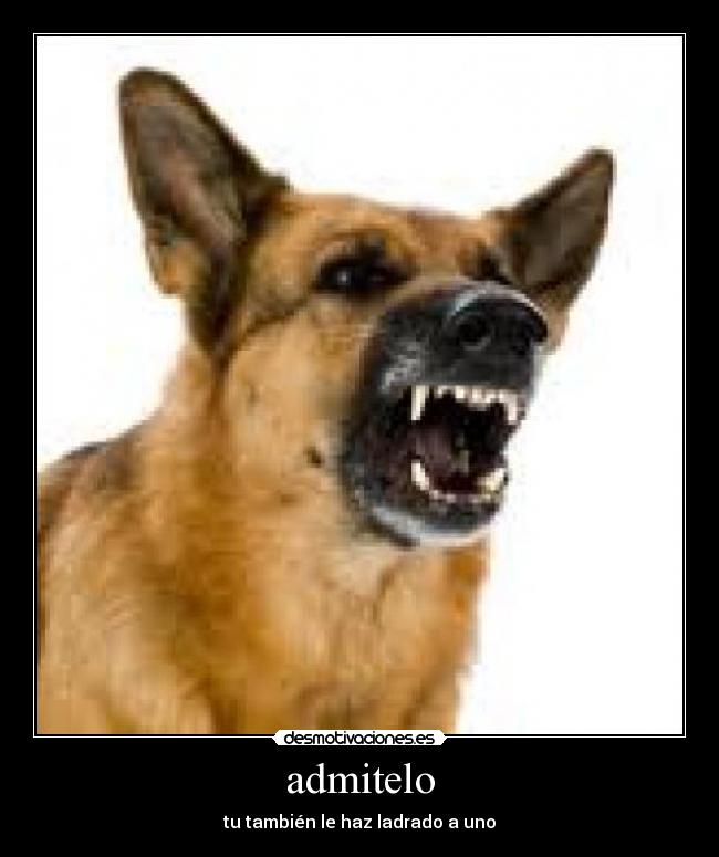 admitelo - tu también le haz ladrado a uno