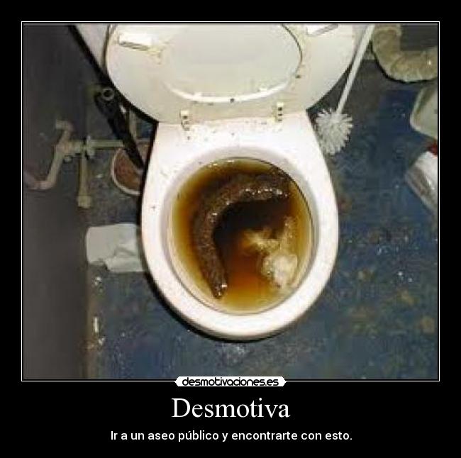 carteles cacadevaca desmotivaciones