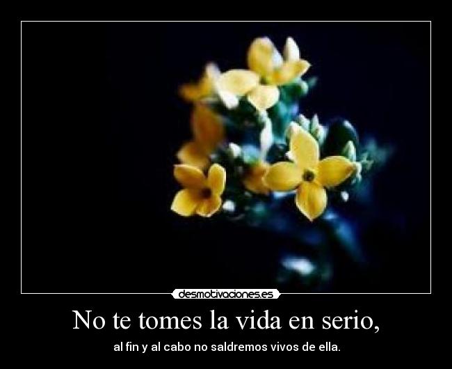 carteles vida tomes vida enserio desmotivaciones