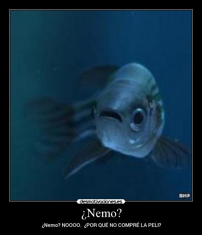 ¿Nemo? - ¿Nemo? NOOOO.  ¿POR QUÉ NO COMPRÉ LA PELI?