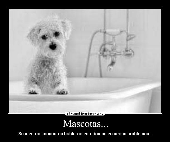 Mascotas... - Si nuestras mascotas hablaran estaríamos en serios problemas…