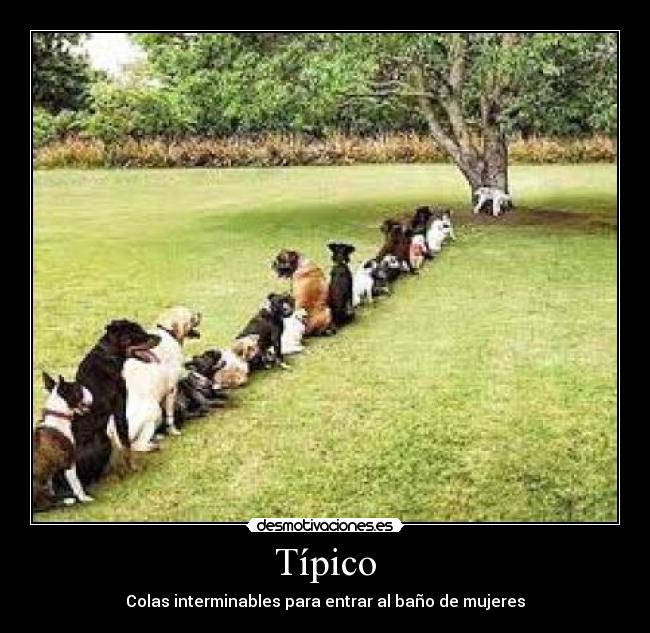 Típico - Colas interminables para entrar al baño de mujeres