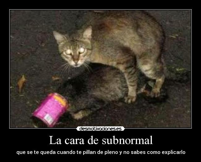 La cara de subnormal - que se te queda cuando te pillan de pleno y no sabes como explicarlo