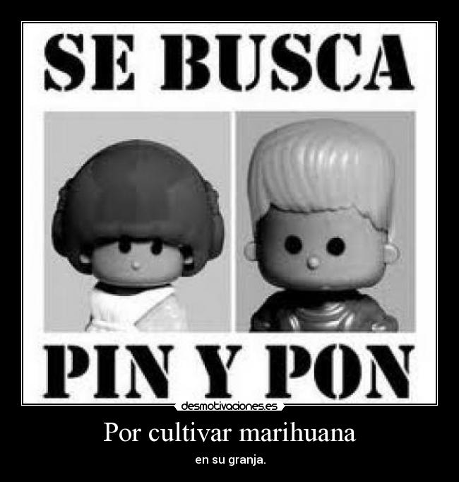 carteles clanantifas kaf clananonymous challengeacceptedd pone palote mesmymlfcq desmotivaciones