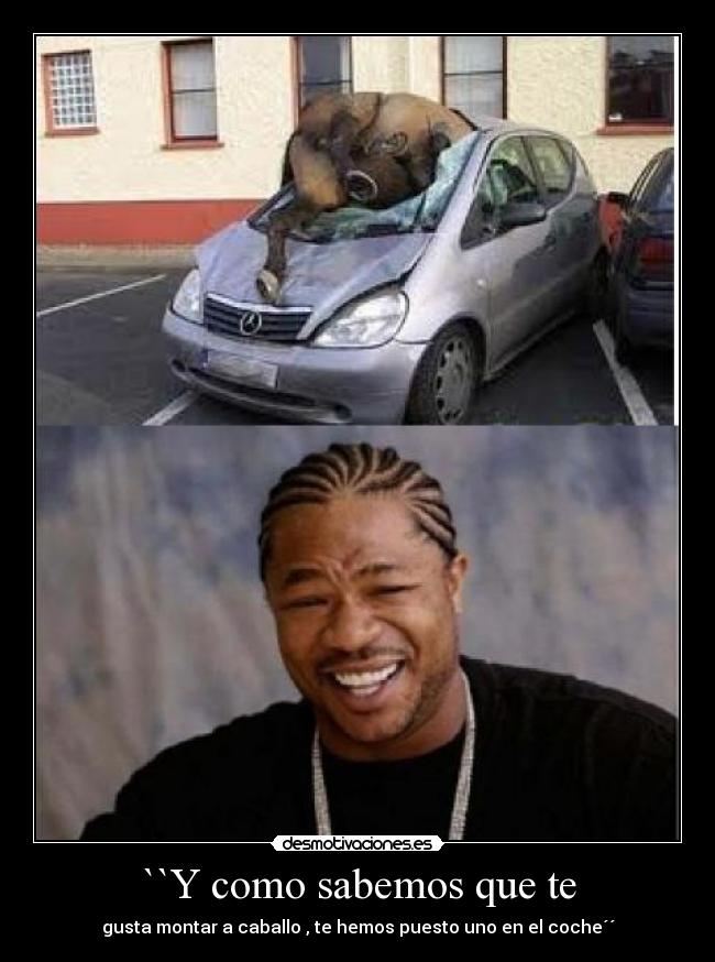 ``Y como sabemos que te -