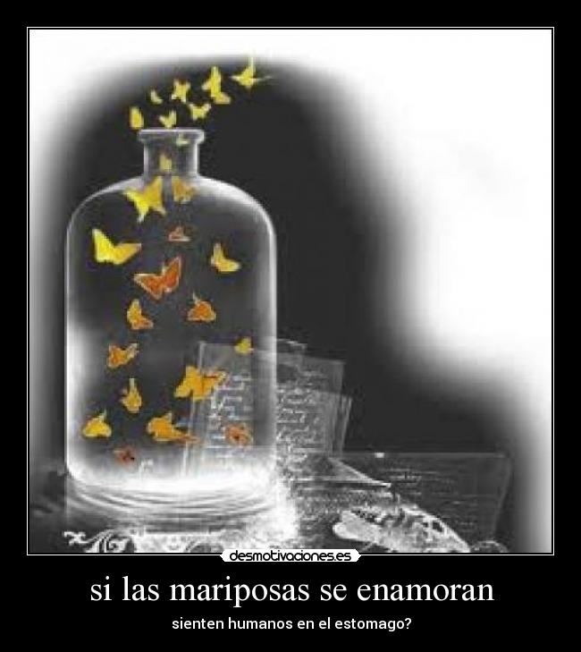 si las mariposas se enamoran - 