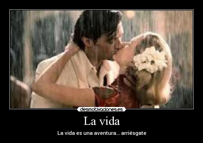 carteles vida vive vida desmotivaciones