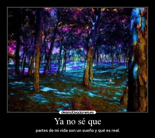 Ya no sé que - partes de mi vida son un sueño y qué es real.