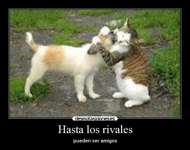 Hasta los rivales -