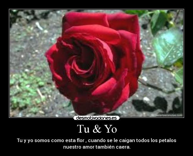 carteles  desmotivaciones