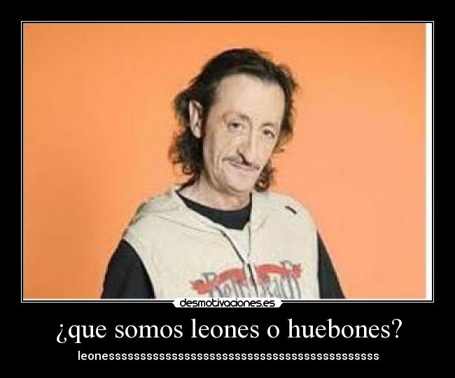 ¿que somos leones o huebones? - leonesssssssssssssssssssssssssssssssssssssssssss