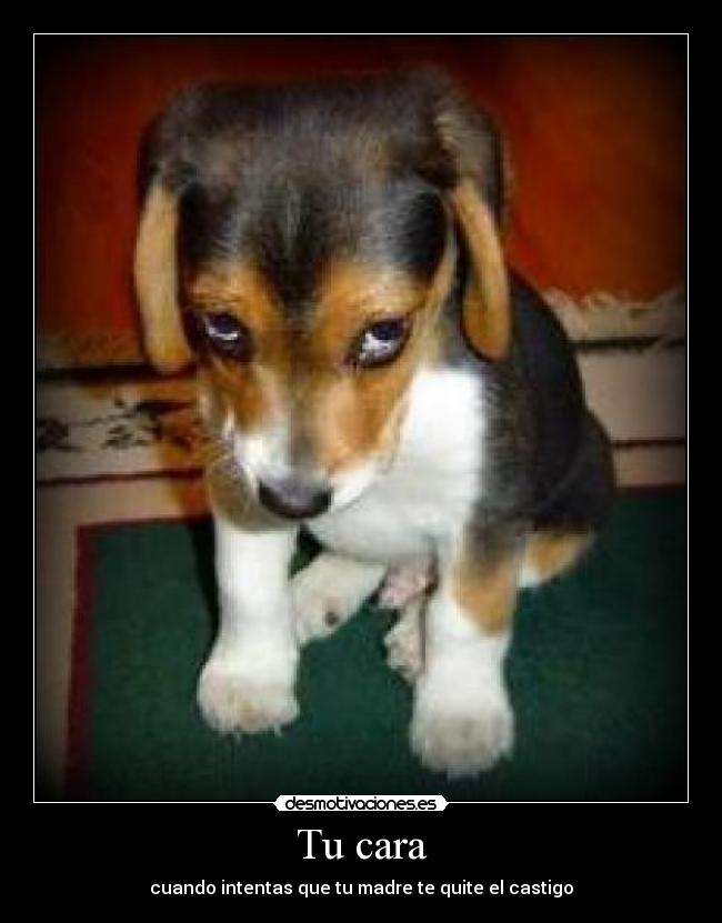 Tu cara - cuando intentas que tu madre te quite el castigo