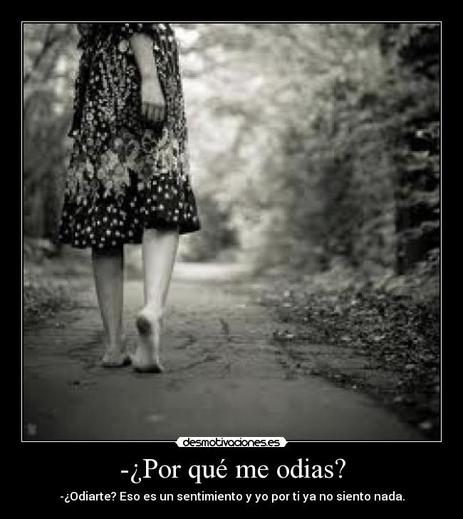-¿Por qué me odias? -