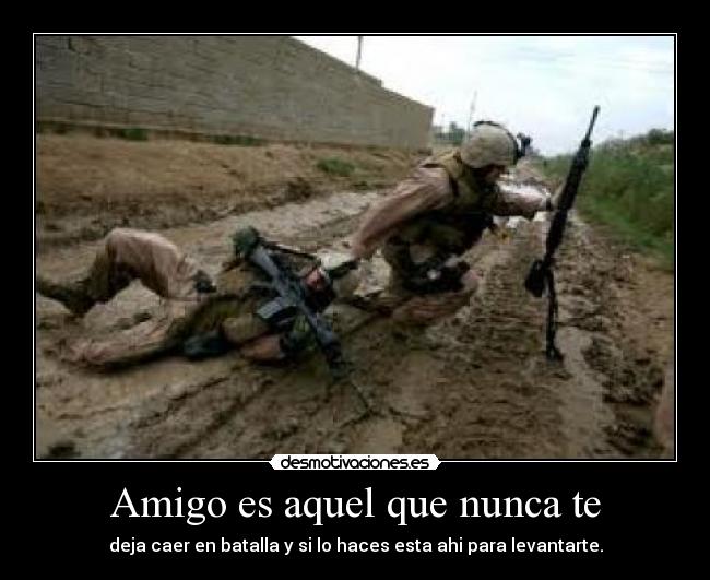 carteles moxis desmotivaciones