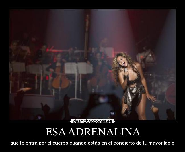 ESA ADRENALINA - que te entra por el cuerpo cuando estás en el concierto de tu mayor ídolo.