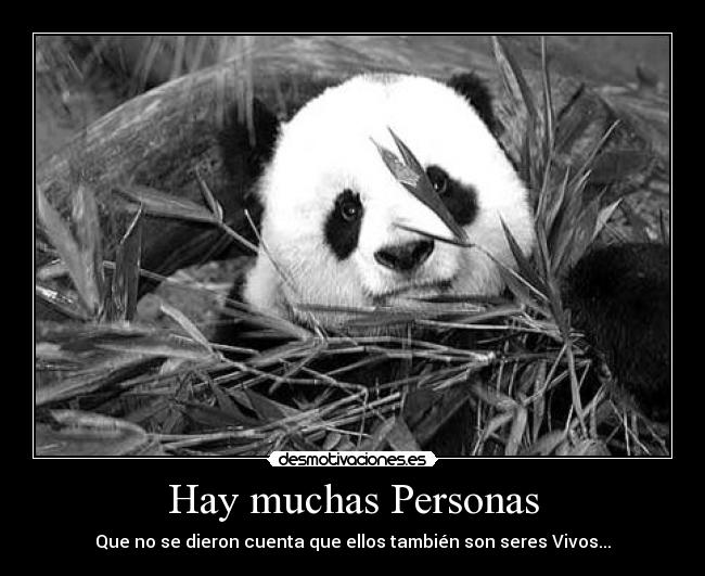 Hay muchas Personas -