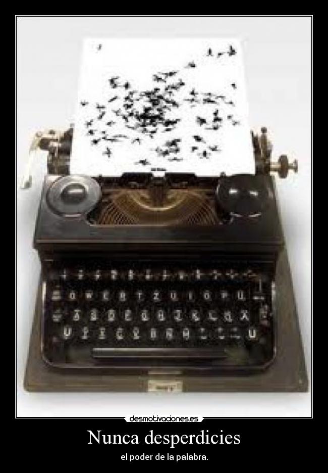 Nunca desperdicies - 