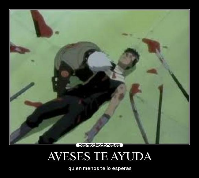 AVESES TE AYUDA - quien menos te lo esperas