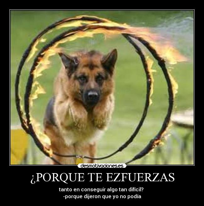 ¿PORQUE TE EZFUERZAS - tanto en conseguir algo tan difícil? 
-porque dijeron que yo no podía