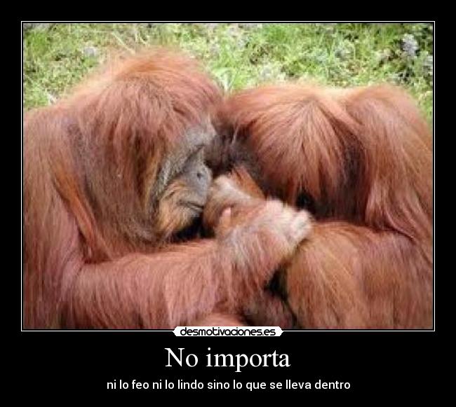 No importa -
