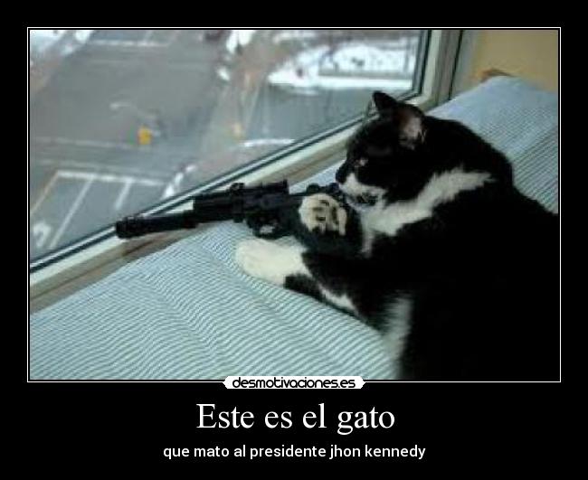 carteles este gato desmotivaciones