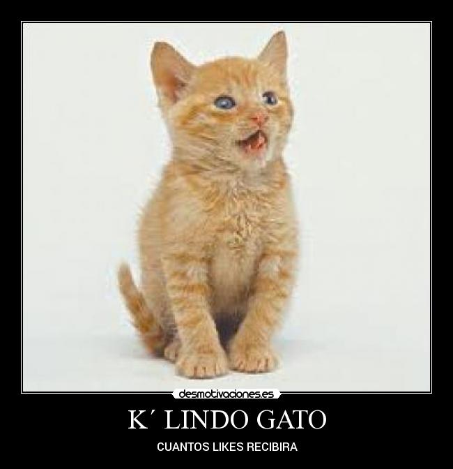 carteles facebook desmotivaciones