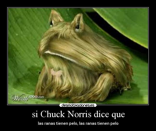 carteles palabra del maestro desmotivaciones