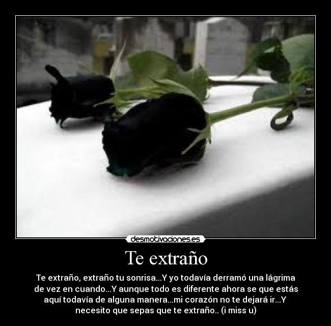 carteles miss desmotivaciones