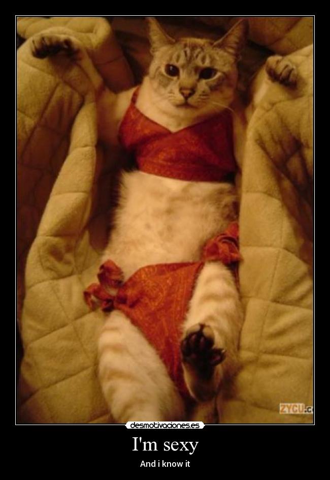 Im sexy - And i know it