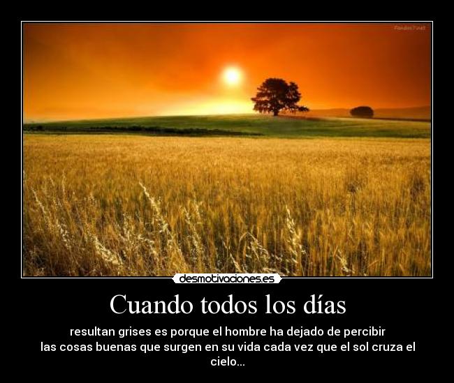 Cuando todos los días -