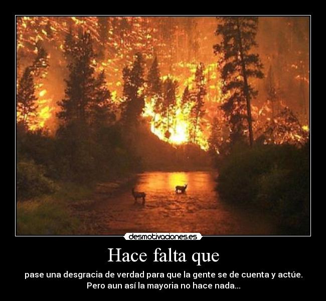 Hace falta que - pase una desgracia de verdad para que la gente se de cuenta y actúe.
Pero aun así la mayoria no hace nada...