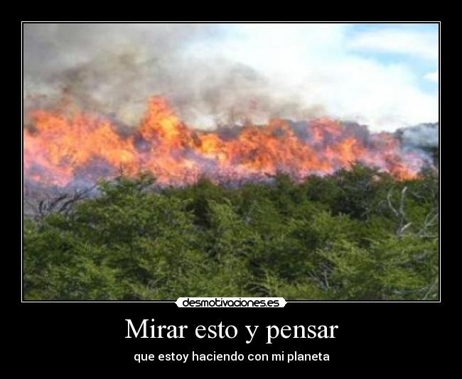 Mirar esto y pensar -