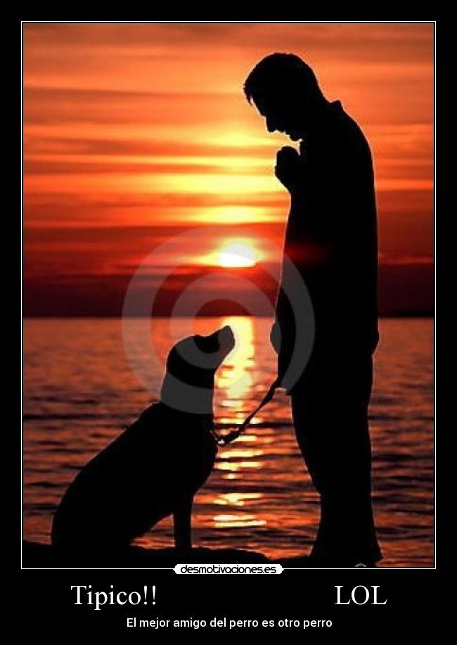 Tipico!!                         LOL - El mejor amigo del perro es otro perro