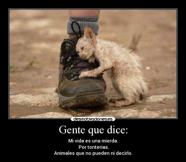 Gente que dice: - Mi vida es una mierda.
Por tonterias.
Animales que no pueden ni decirlo.