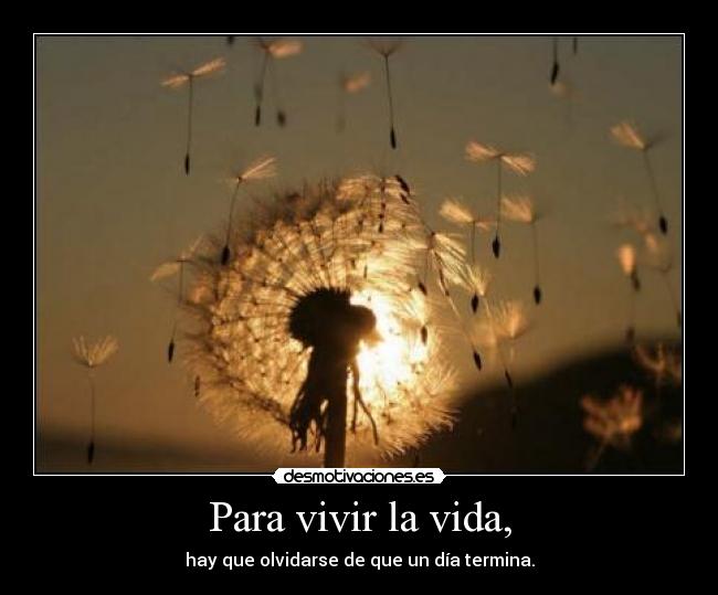 Para vivir la vida, - hay que olvidarse de que un día termina.