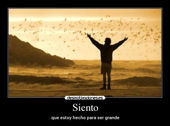 Siento - 